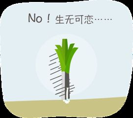 葱森怎么组词 葱森怎么组词