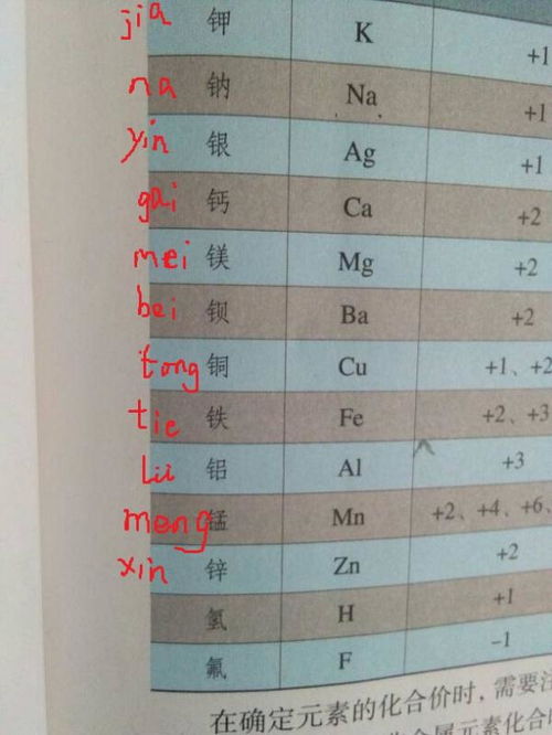 告字怎么读拼音和组词