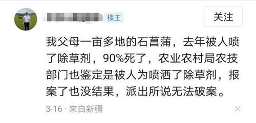 枯草的哭哭怎么组词