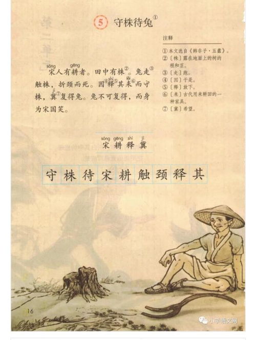 待兔的守怎么组词