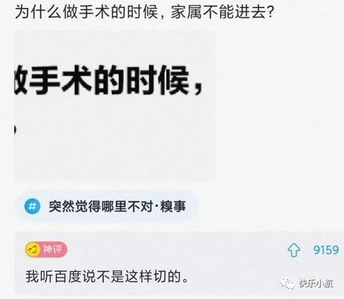 你说的仔怎么组词