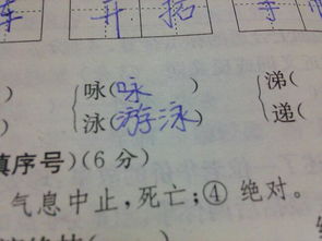 金鹰静静字怎么组词