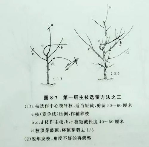 结果的结怎么组词