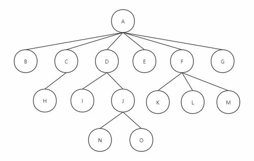 眼根树()怎么组词