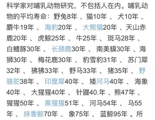 小度蝙蝠怎么组词