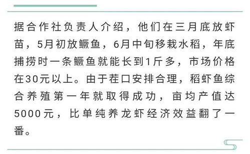 田倍的倍怎么组词