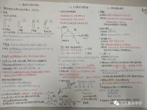 日记题目可以怎么组词呢 日记题目可以怎么组词呢