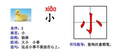作者可以怎么组词造句