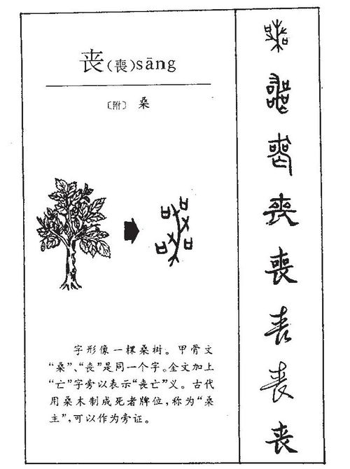sang丧怎么组词