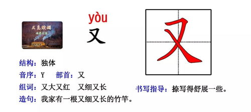 支带偏旁怎么组词