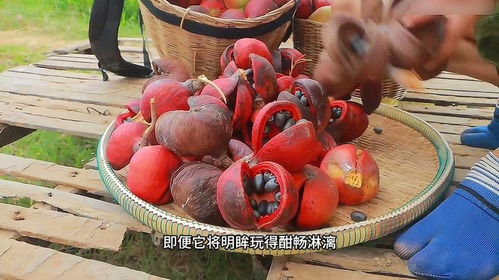 苹果的苹可以怎么组词