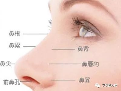 鼻该怎么组词