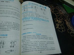 磨多音字组词 磨多音字组词