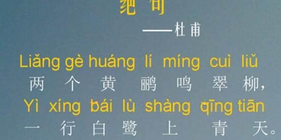 军需骑的龟怎么组词