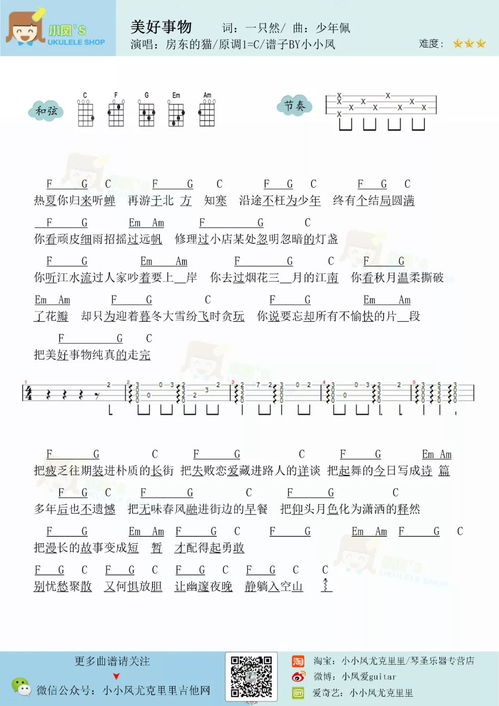 杨怎么组词寓意好听