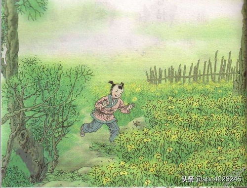 杂中的杂怎么组词