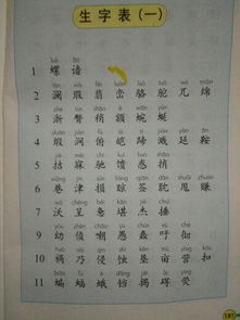 免是怎么组词的词