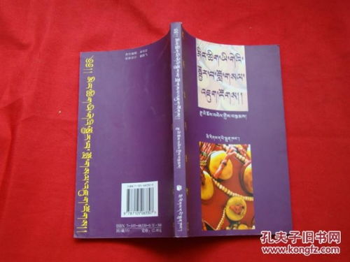 藏族舞的藏怎么组词