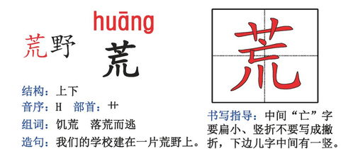 有声明怎么组词造句