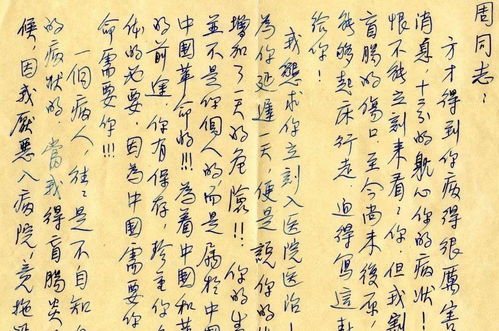 份字组词书法怎么写