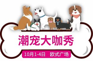 播放汪汪汪怎么组词