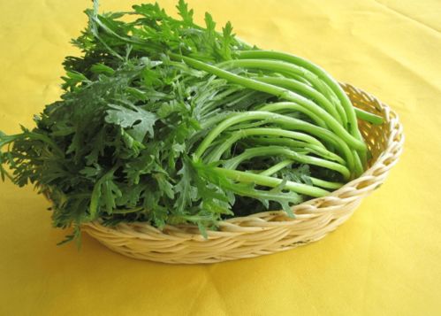 茼蒿的头怎么组词