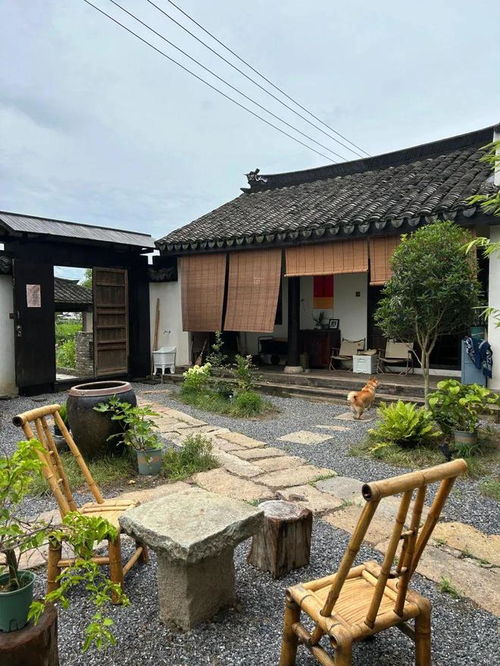 院子的院怎么正确组词