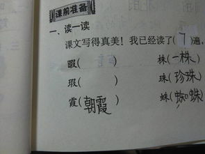 竹子旁采怎么组词