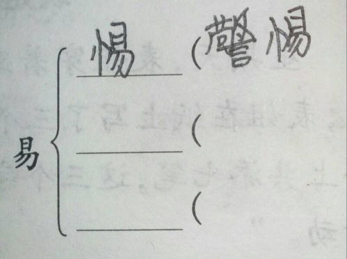 竹子旁采怎么组词