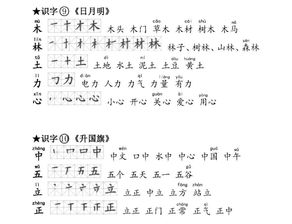 棠怎么组词造句和拼音