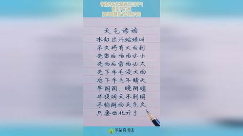 带守株待兔的戴怎么组词