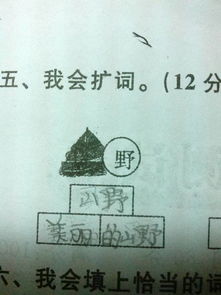 文字组词怎么扩