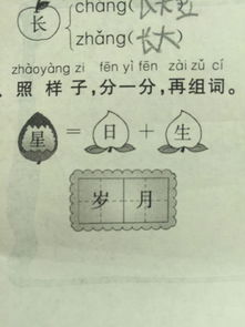 结组词怎么