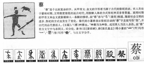 大的拍怎么组词