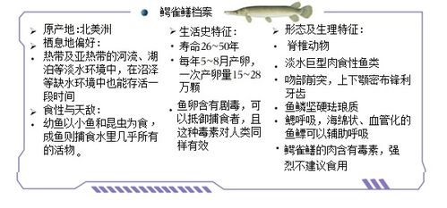 动物的动么怎么组词