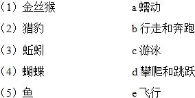 动物的动么怎么组词