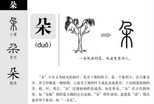 朵朵还能怎么组词