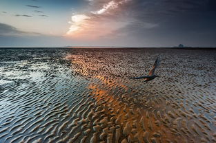 大滩的滩怎么组词 大滩的滩怎么组词