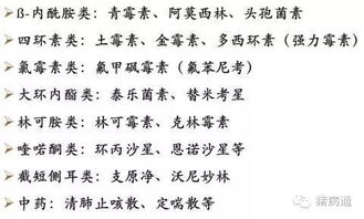 猪医怎么组词 猪医怎么组词