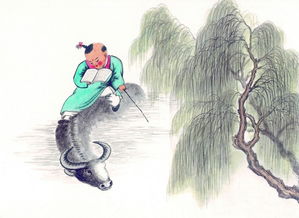 牧童的模怎么组词