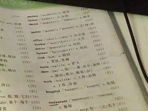 丫组词组
