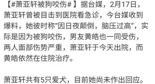 皓和曦怎么组词好听点