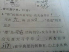 倭寇的意思和组词怎么写