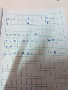 的的多音字组词和拼音怎么写