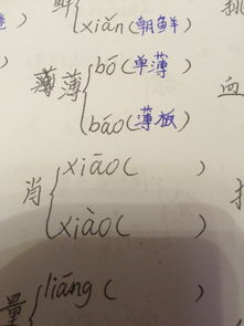 糊字的多音字怎么组词