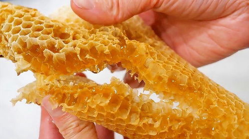 蜂蜜蜂怎么组词