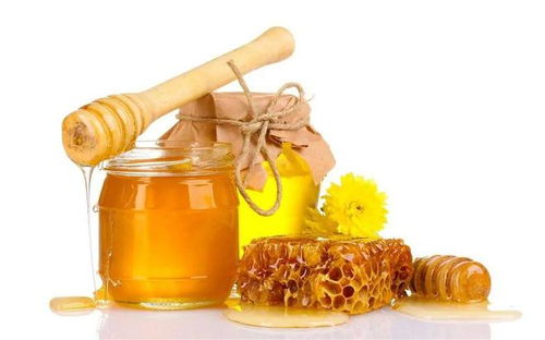 蜂蜜蜂怎么组词