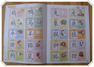 图画还可以怎么组词呀