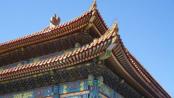 紫禁城的紫怎么组词