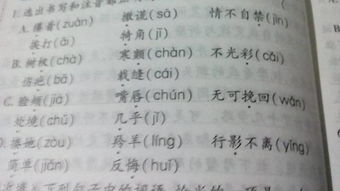 都有什么组词啊怎么写